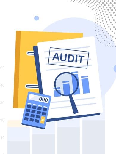 Website Audit